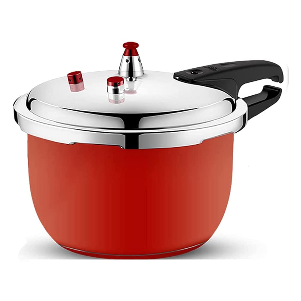 Stainless Steel 3L Pressure Cooker N27869