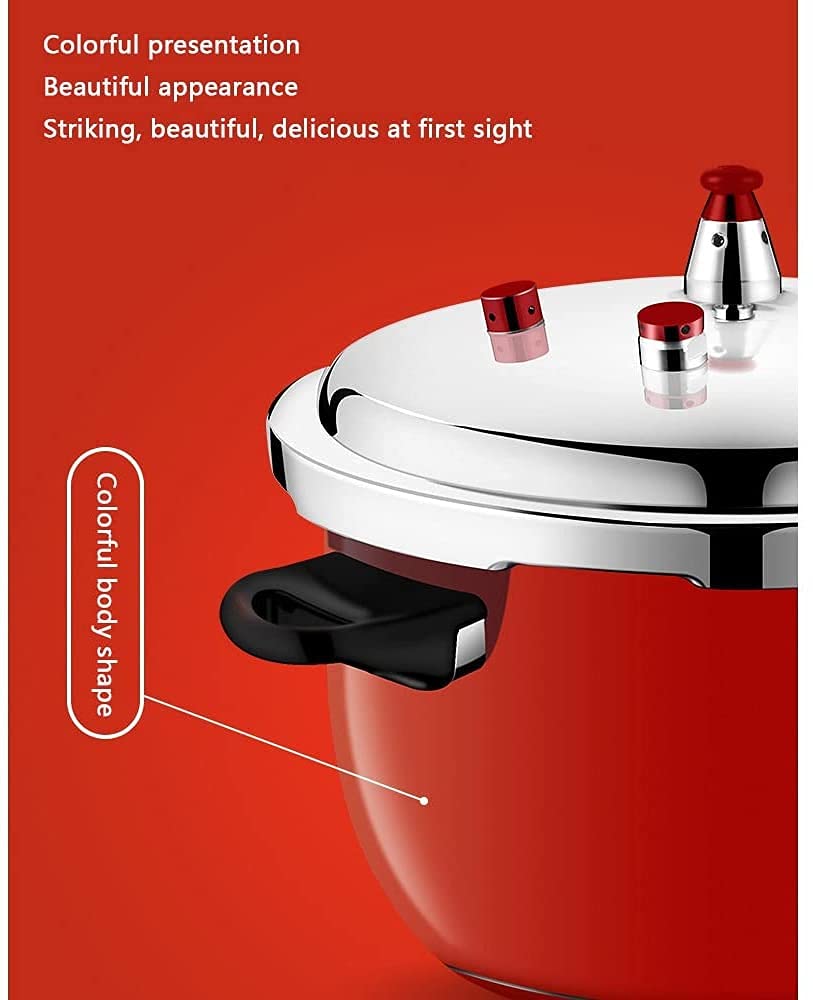 Stainless Steel 3L Pressure Cooker N27869
