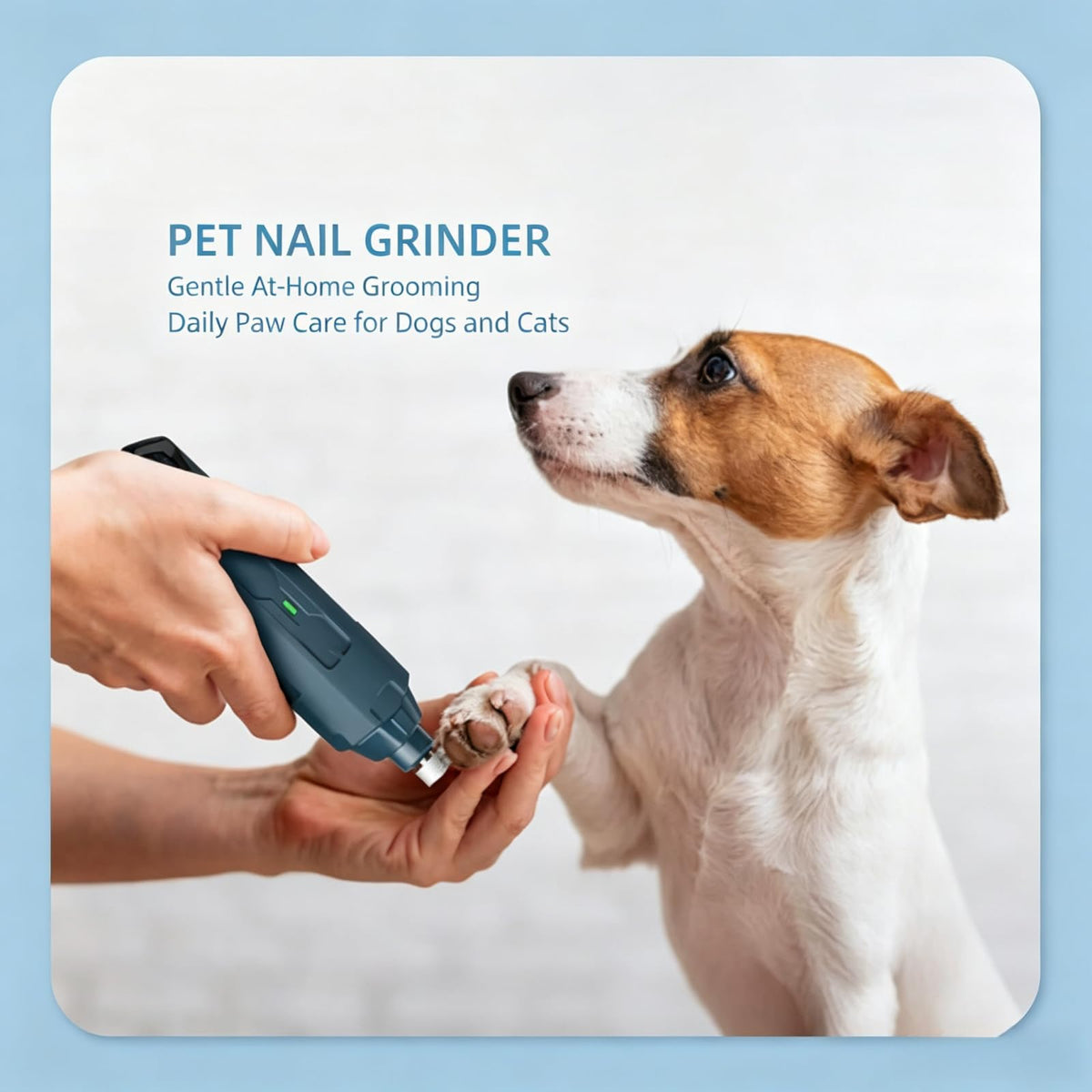 Dog Nail Grinder with 3 Ports, 2 Speeds G8068