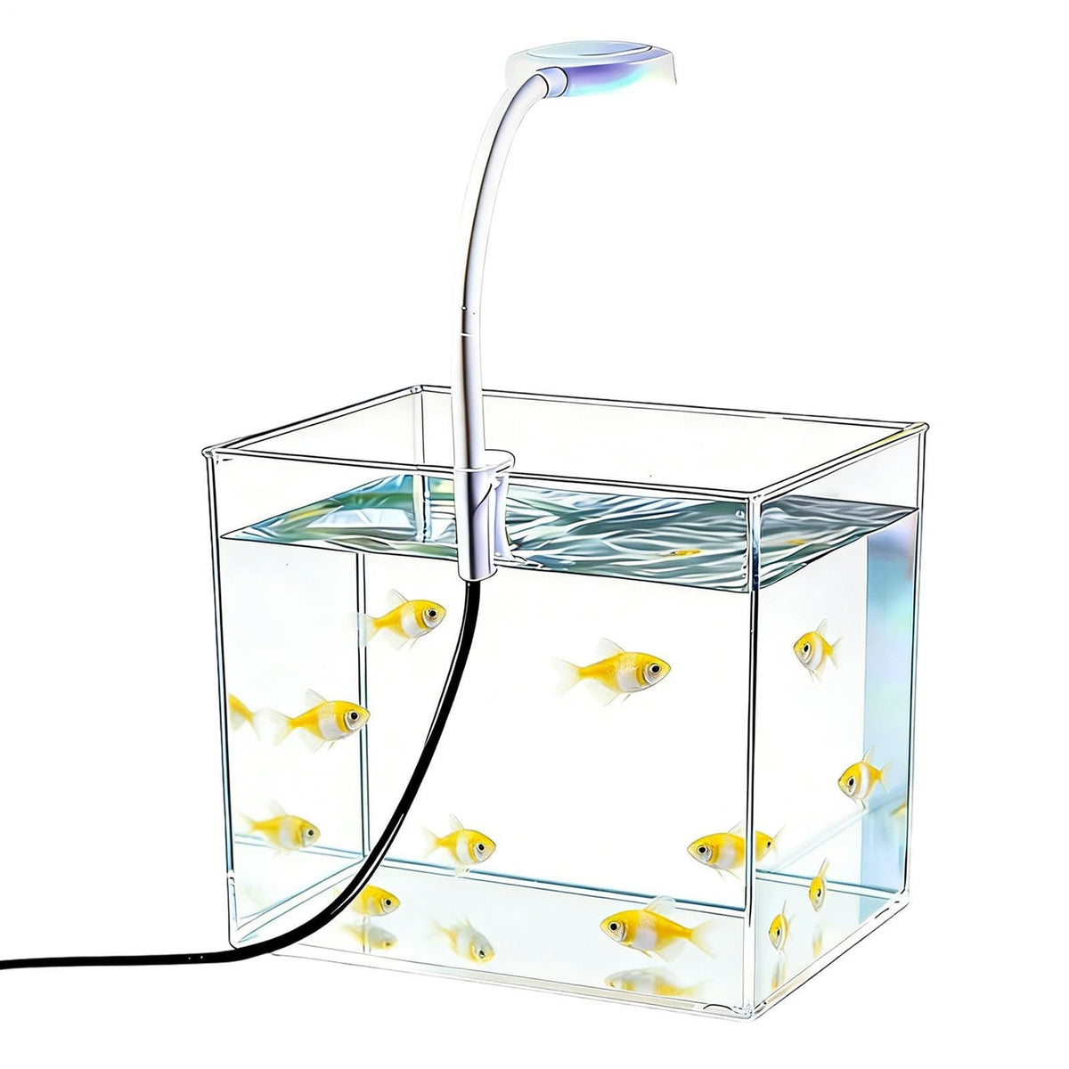 Small Aquarium with LED Lights D87278