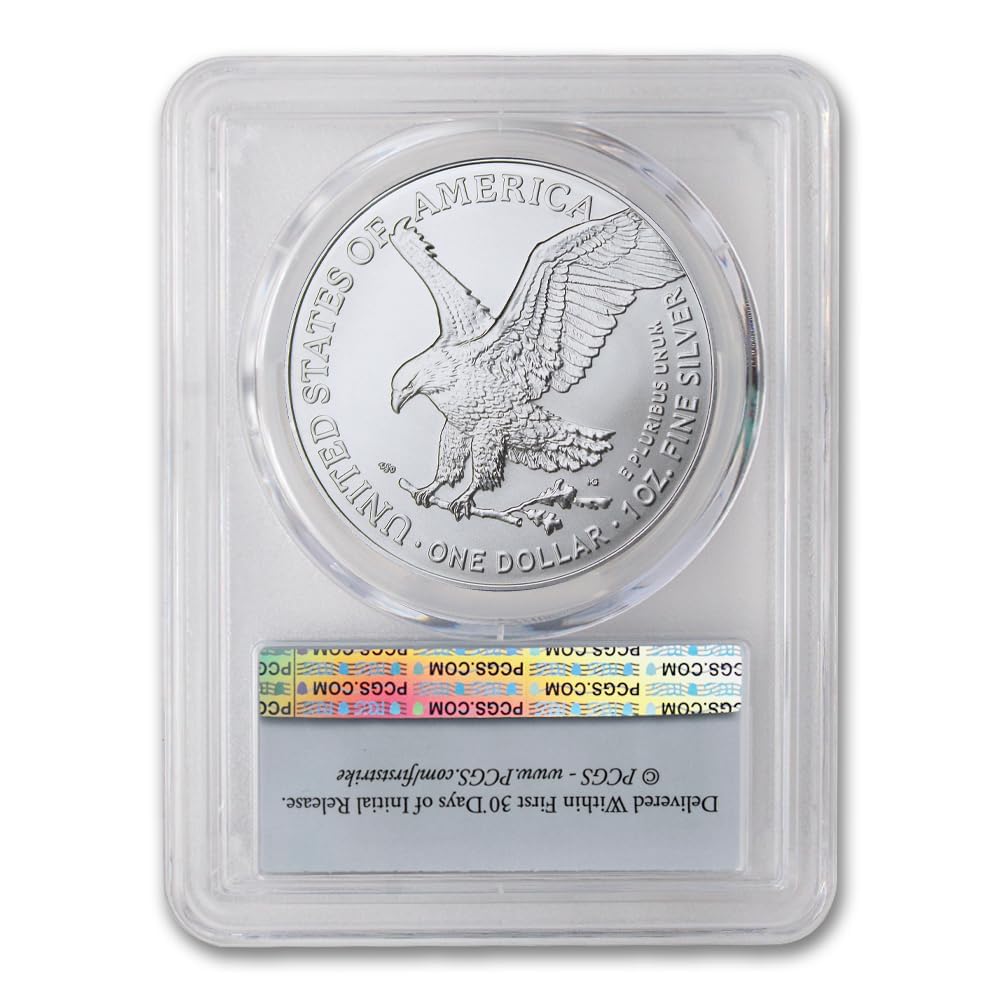 1 oz American Silver Eagle Coin MS-70 J640