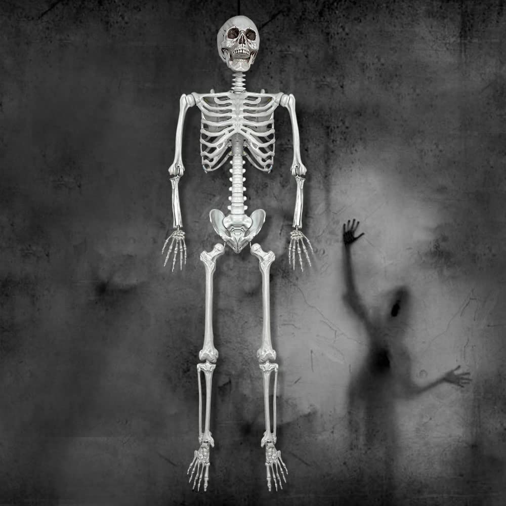 5.4Ft Life Size Human Skeleton with Movable Joints J738