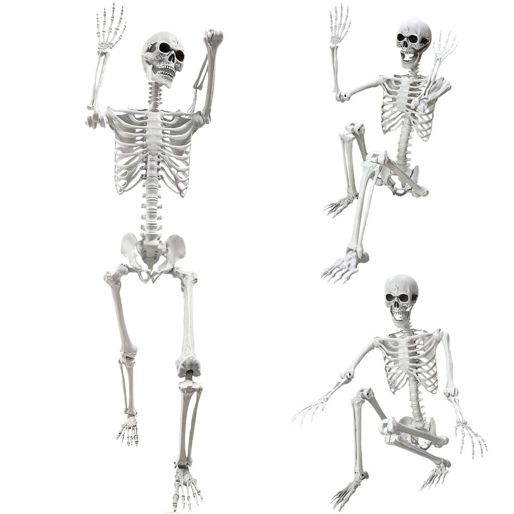 5.4Ft Life Size Human Skeleton with Movable Joints J738