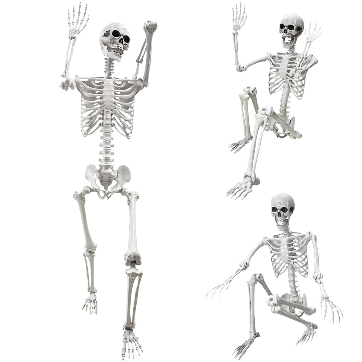 5.4Ft Life Size Human Skeleton with Movable Joints J738