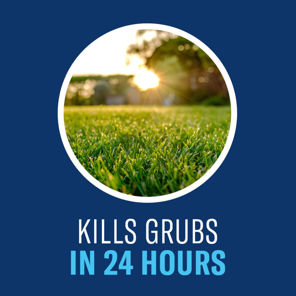 24-Hour Insect Killer Outdoor Granules N3683