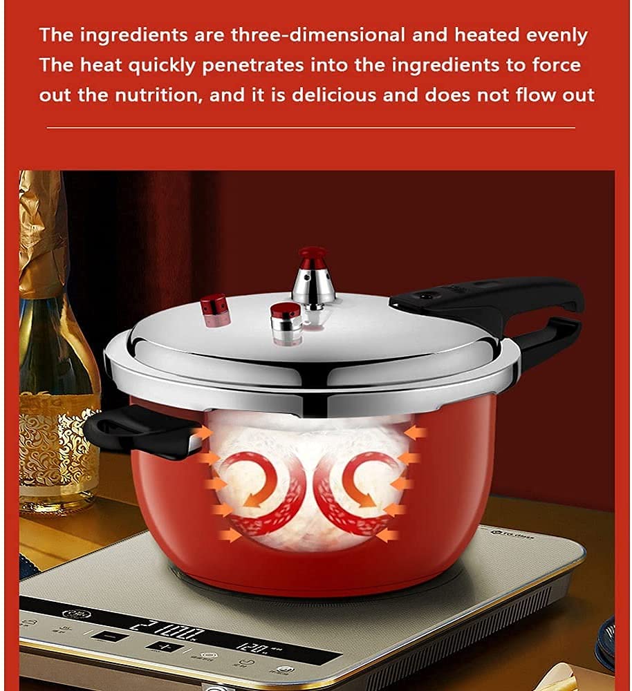 Stainless Steel 3L Pressure Cooker N27869