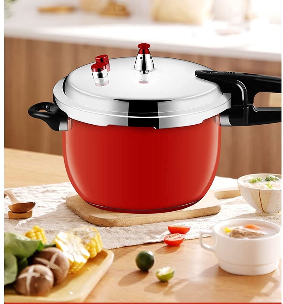 Stainless Steel 3L Pressure Cooker N27869