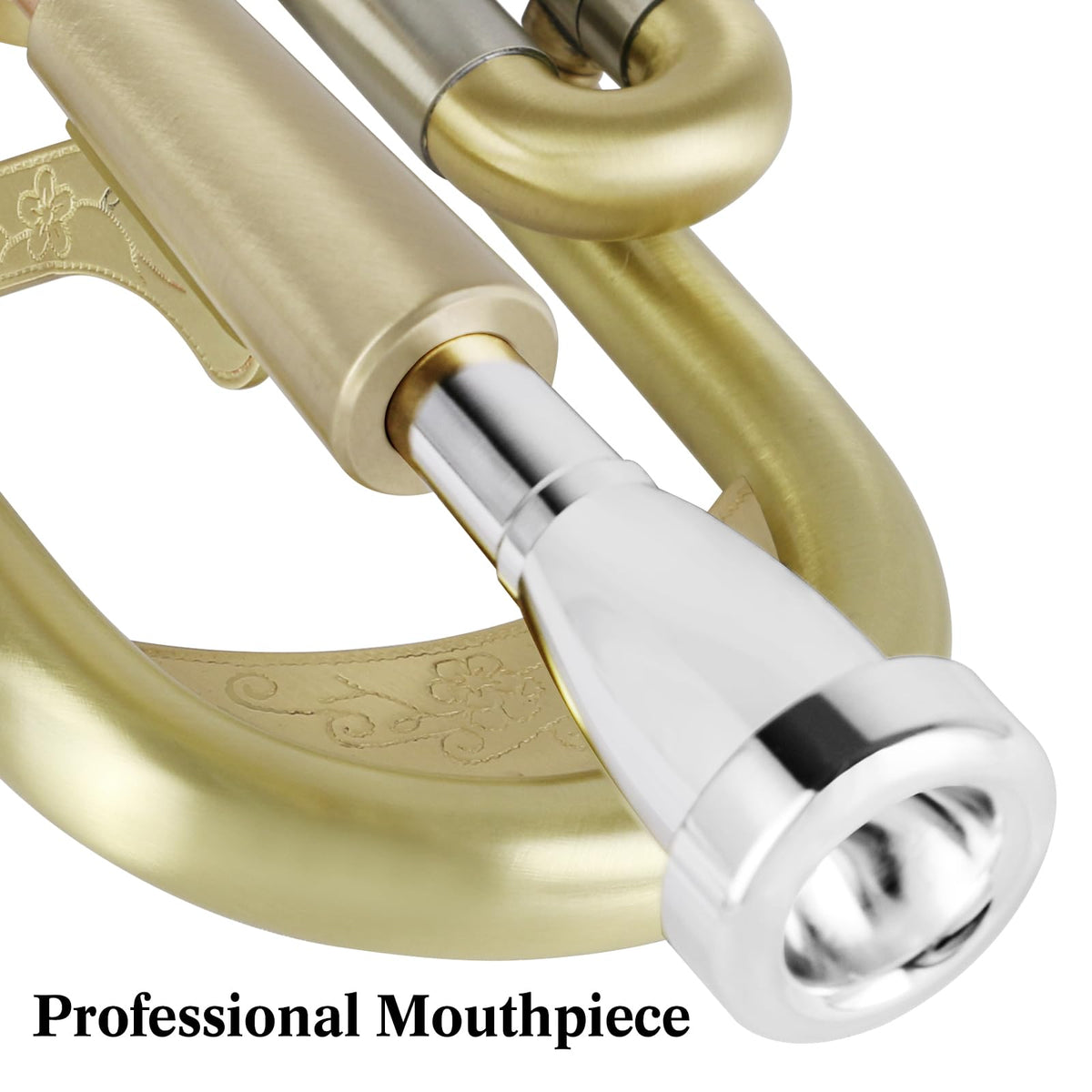 Brushed Finish Standard Brass Bb Trumpet Set with Hard Case W44971