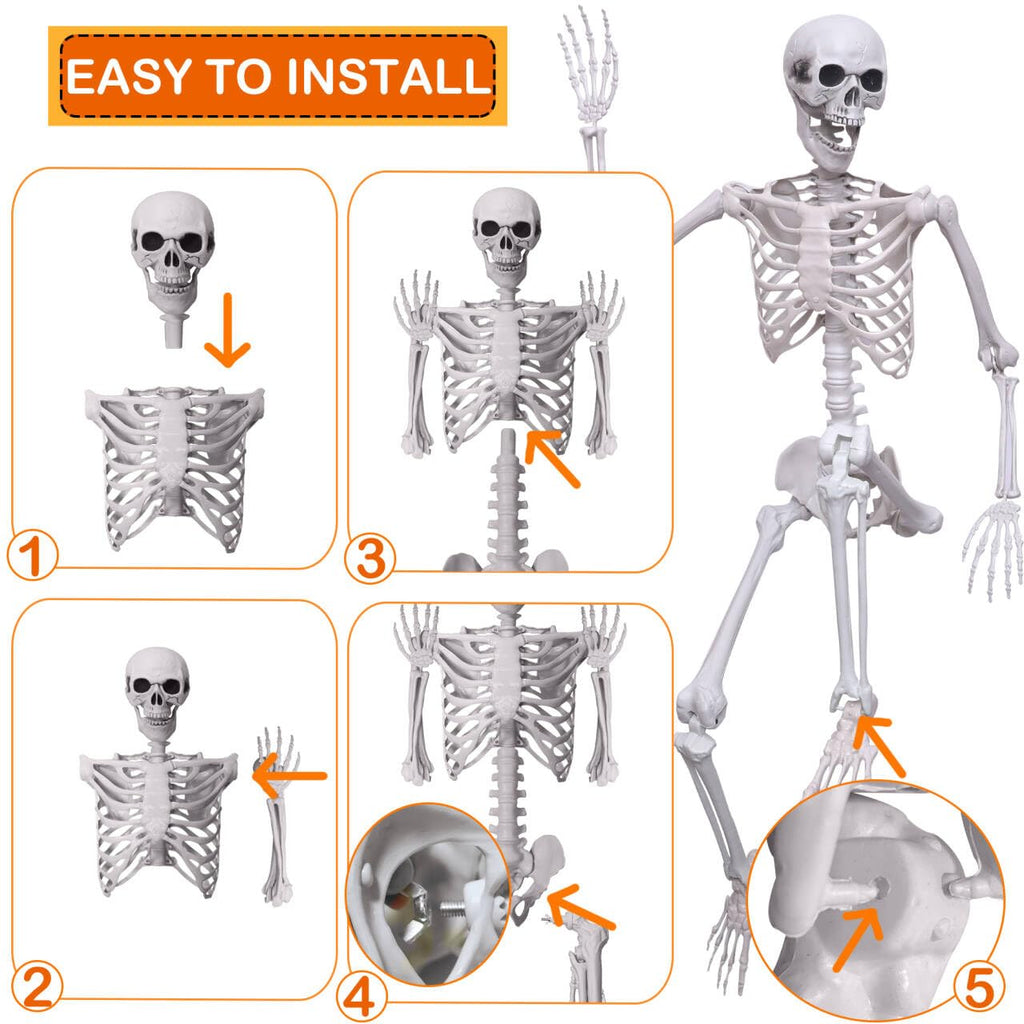 5.4Ft Life Size Human Skeleton with Movable Joints J738