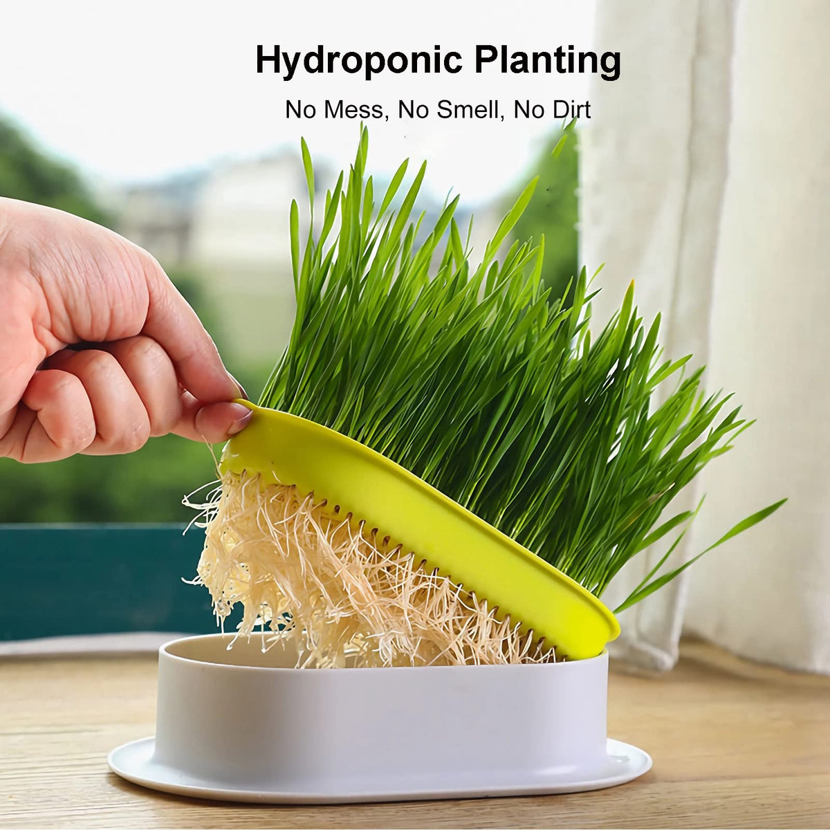2Pcs Cat Grass Planter Hydroponic Growing Kit C809