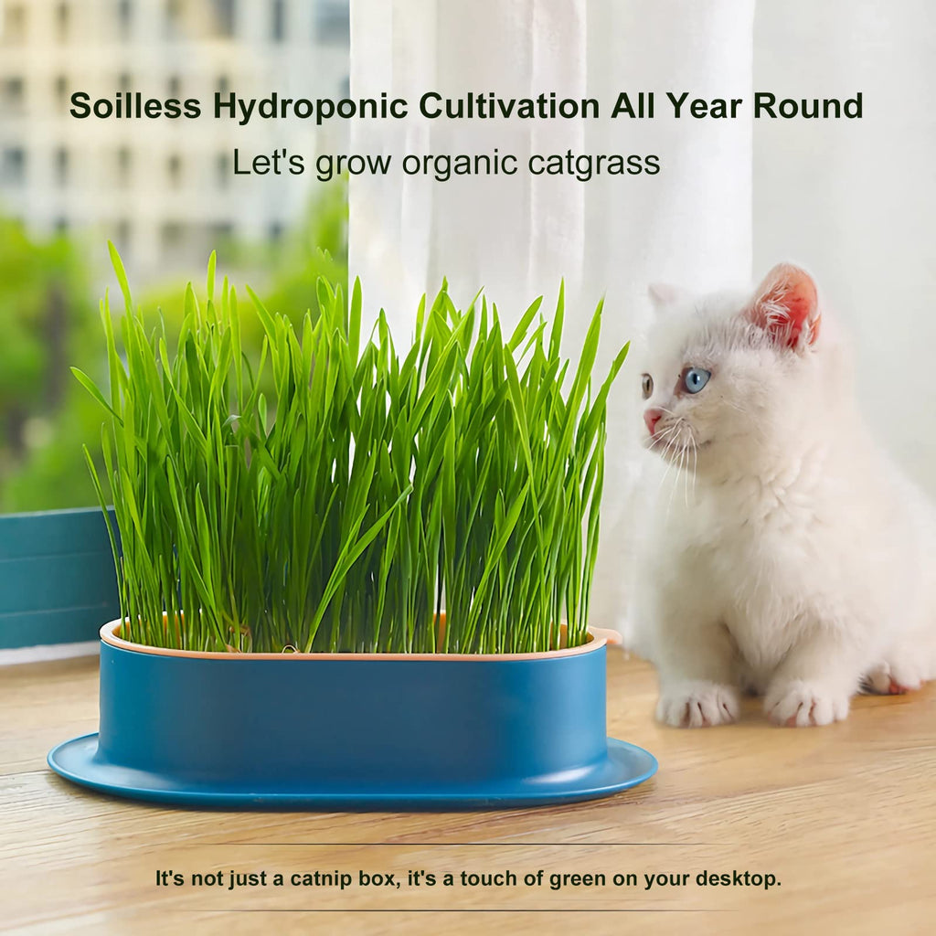 2Pcs Cat Grass Planter Hydroponic Growing Kit C809
