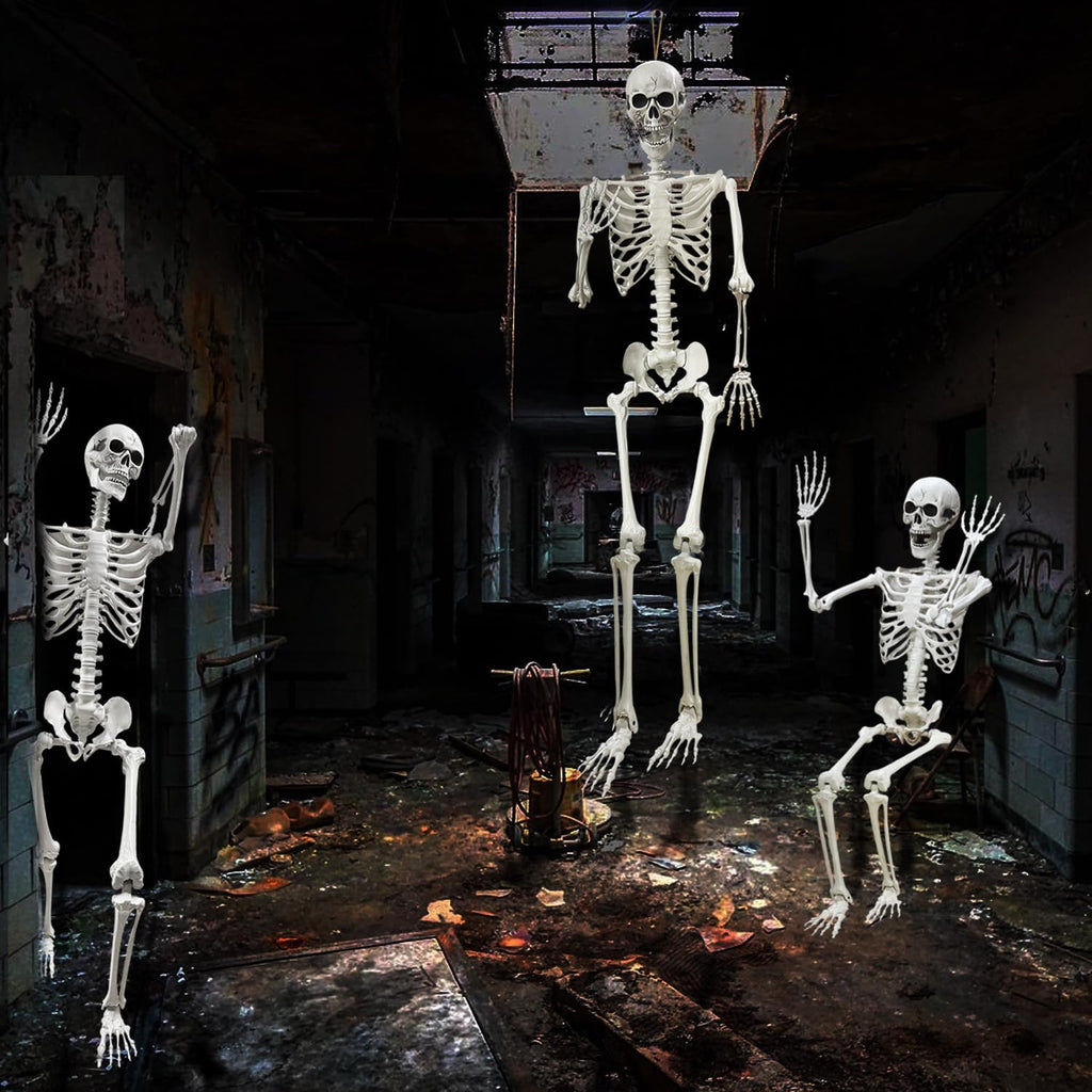 5.4Ft Life Size Human Skeleton with Movable Joints J738