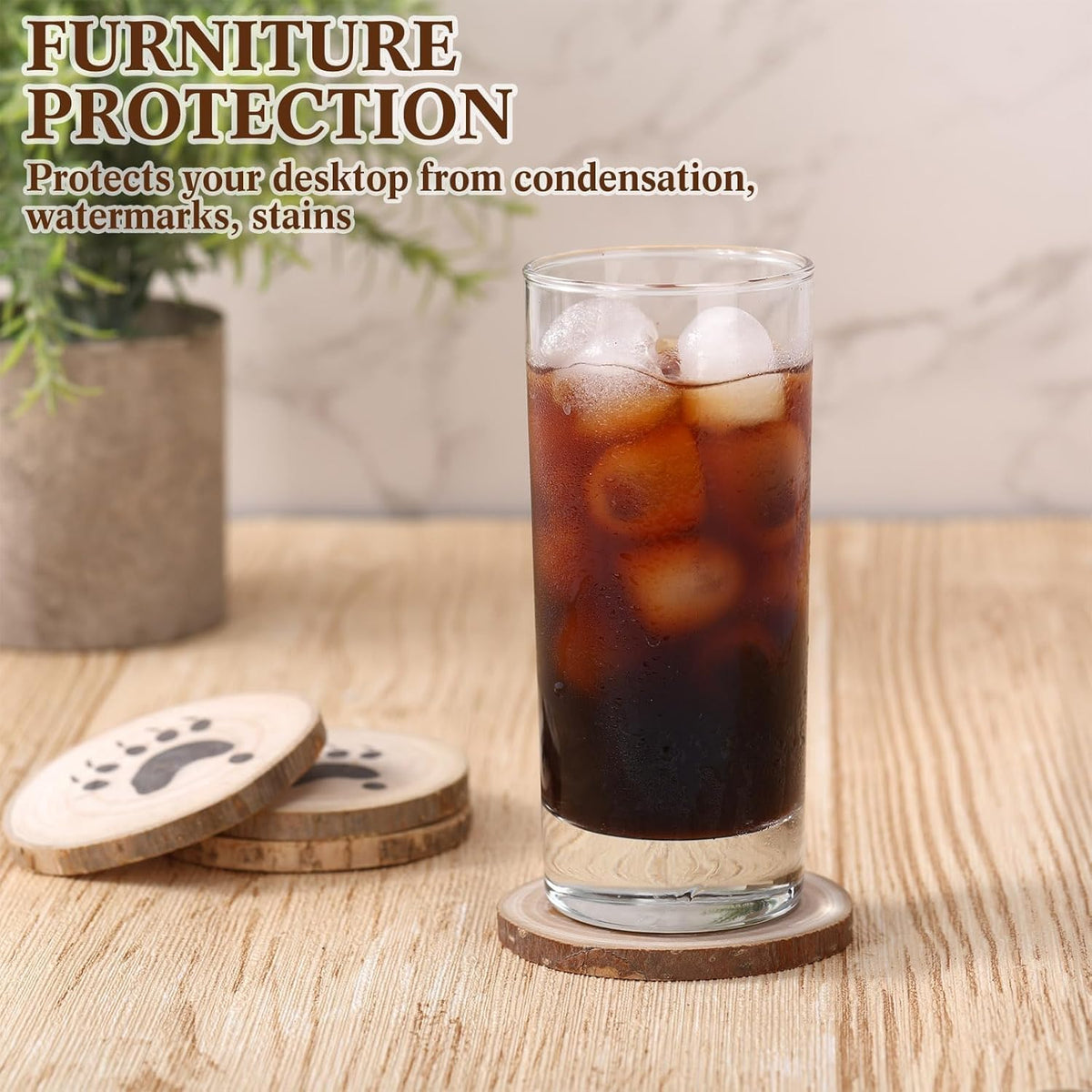Black Bear Coasters Set of 6 W42163