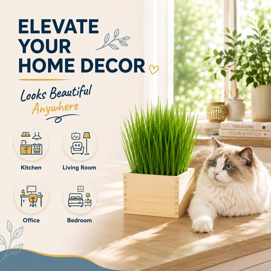 Cat Grass Growing Kit with Wooden Planter U958051