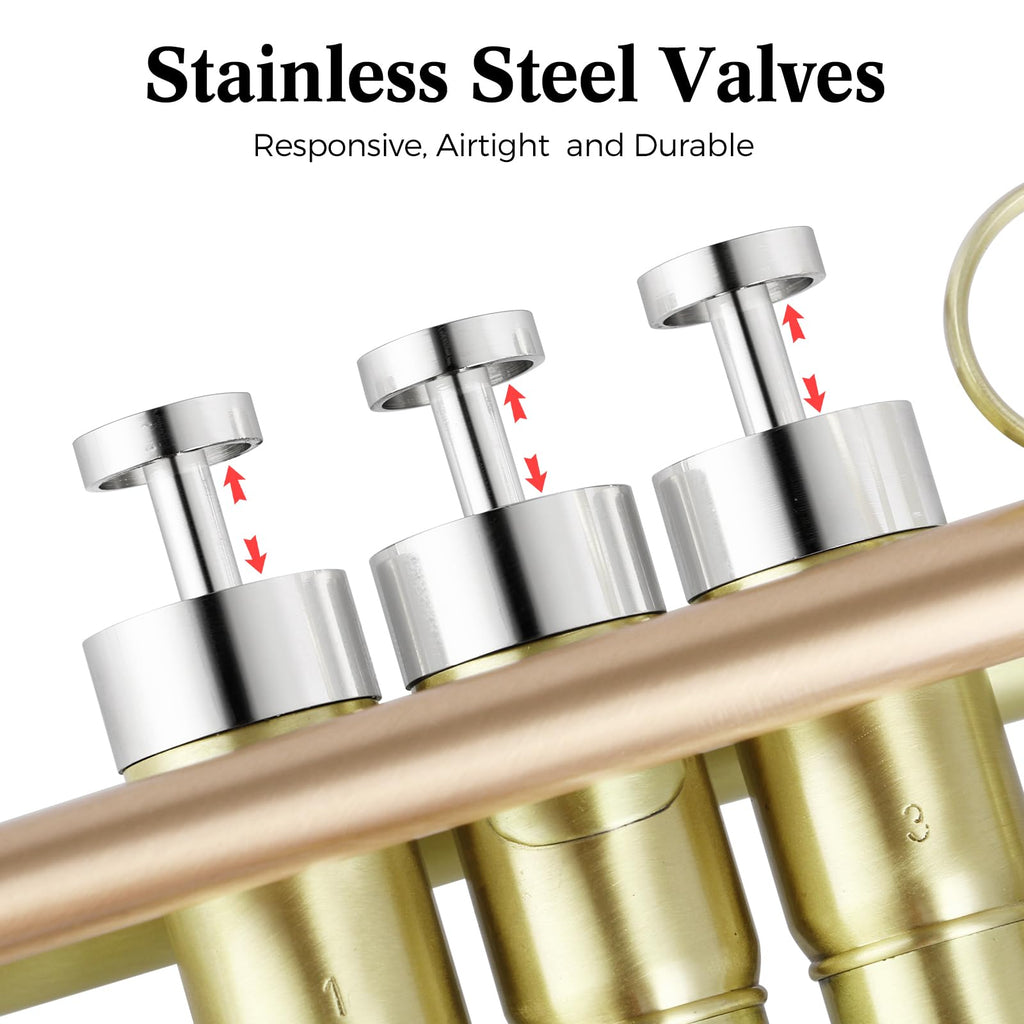 Brushed Finish Standard Brass Bb Trumpet Set with Hard Case W44971
