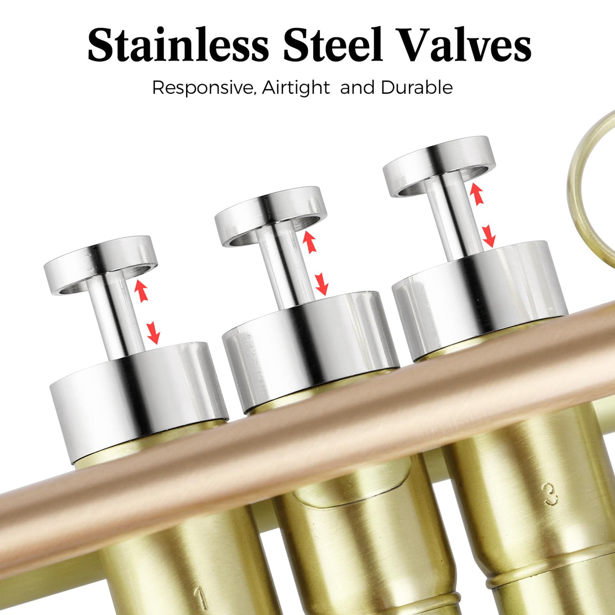 Brushed Finish Standard Brass Bb Trumpet Set with Hard Case W44971
