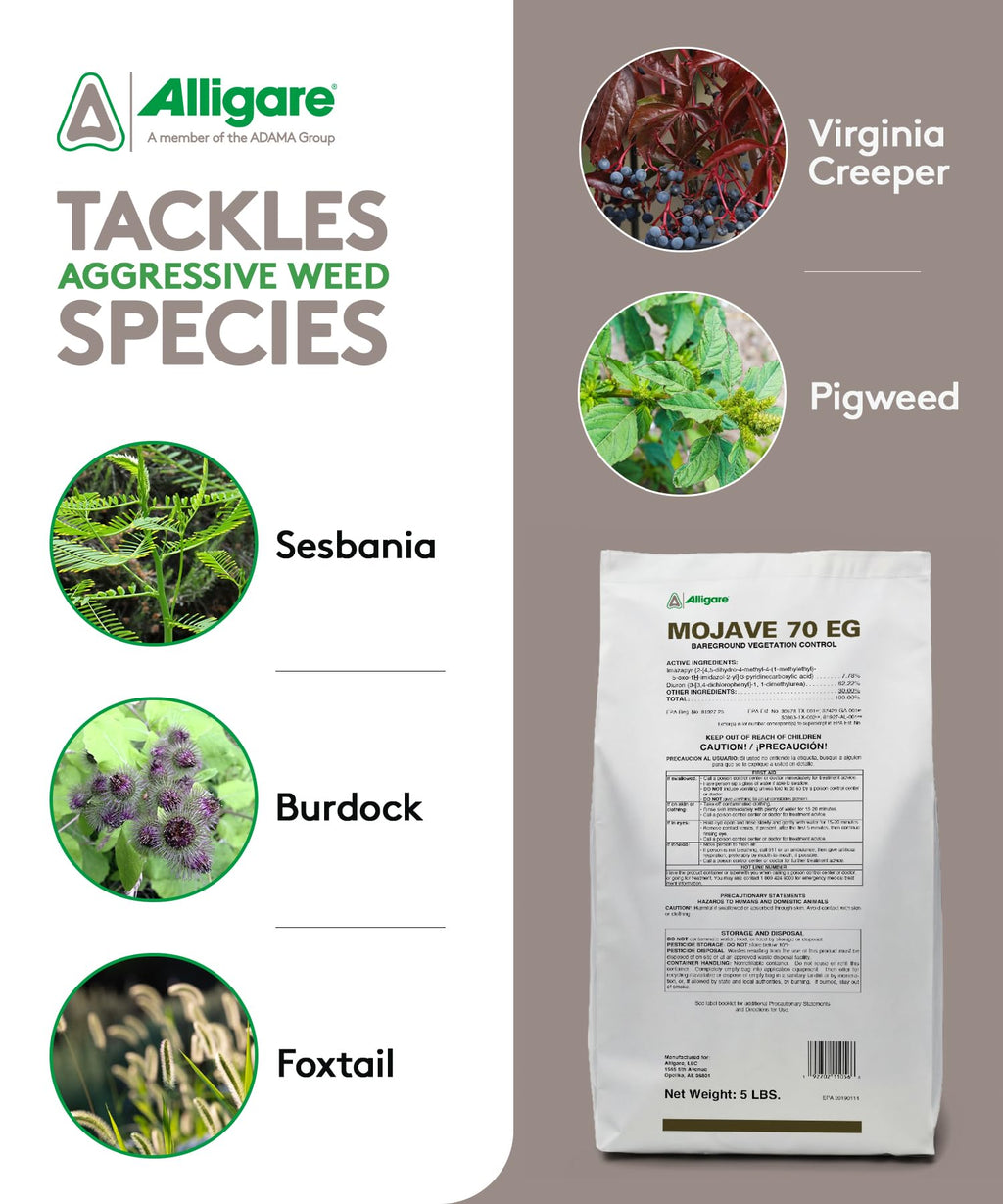 70EG Weed Killer for Grasses, Weeds & Vines 5 lbs V594