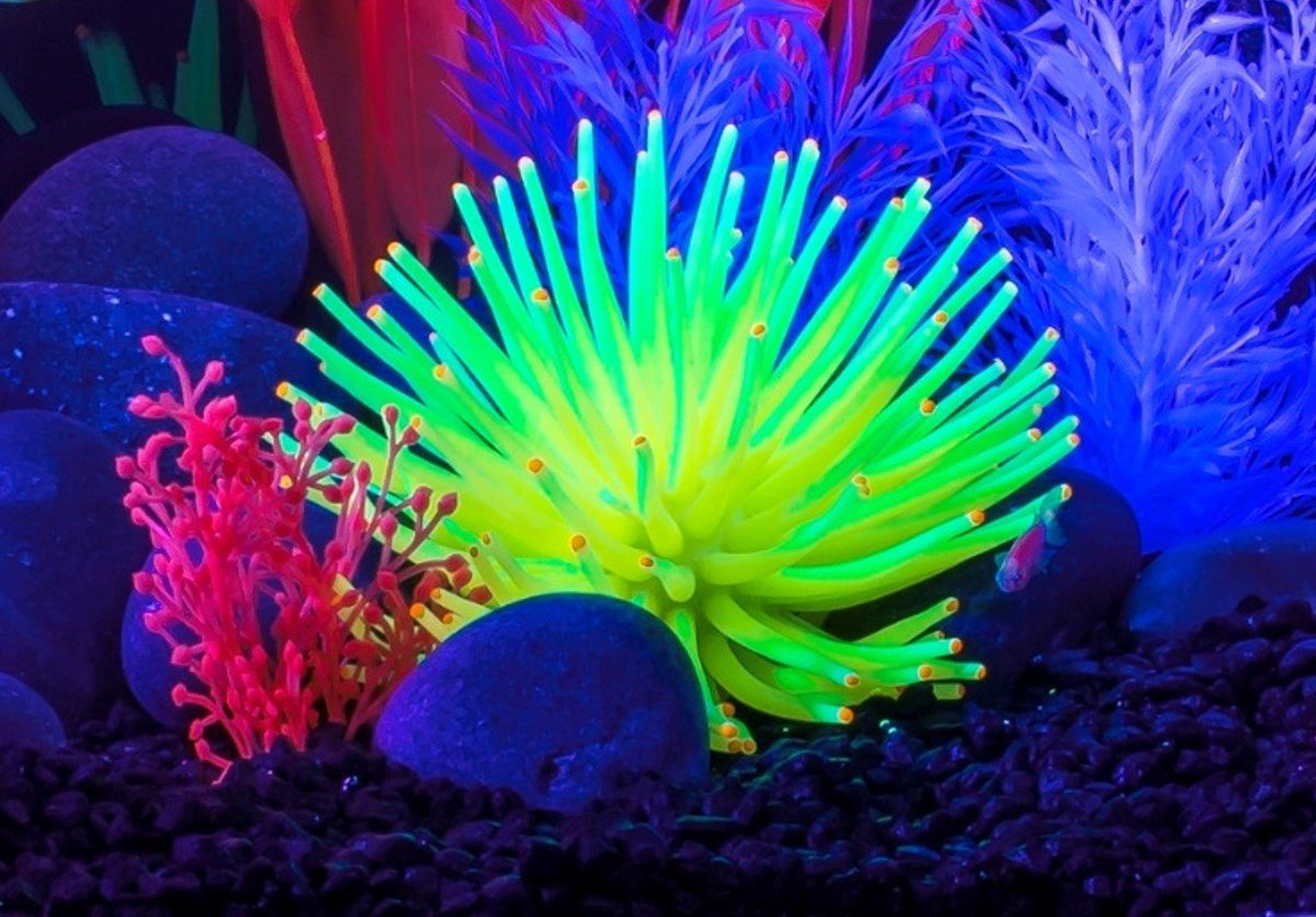 Yellow Anemone Aquarium Ornament P9119