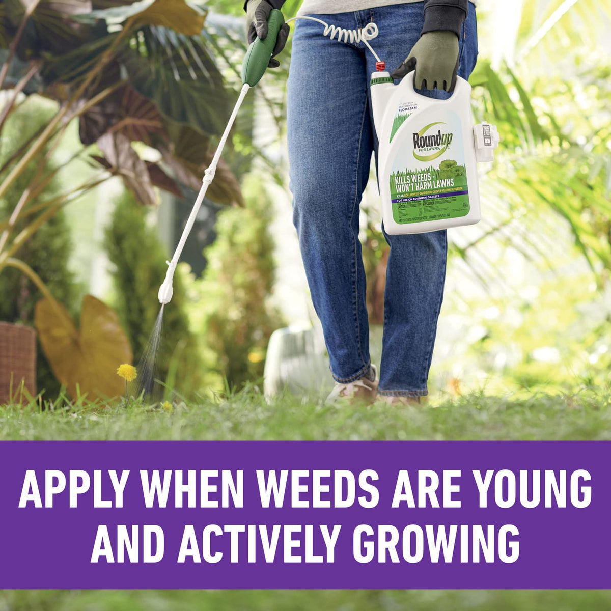 Roundup for Lawns4 Ready-to-Use 1 gal. P96713