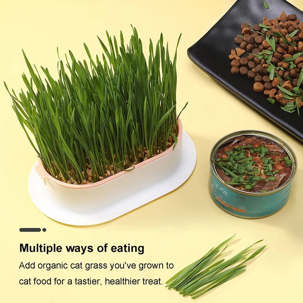 2Pcs Cat Grass Planter Hydroponic Growing Kit C809