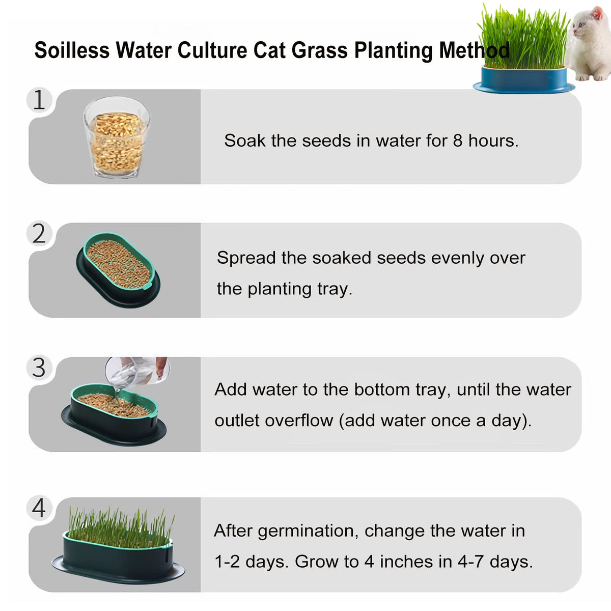 2Pcs Cat Grass Planter Hydroponic Growing Kit C809