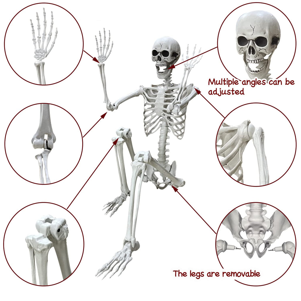 5.4Ft Life Size Human Skeleton with Movable Joints J738