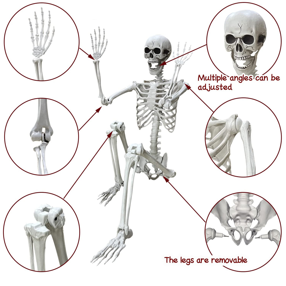 5.4Ft Life Size Human Skeleton with Movable Joints J738