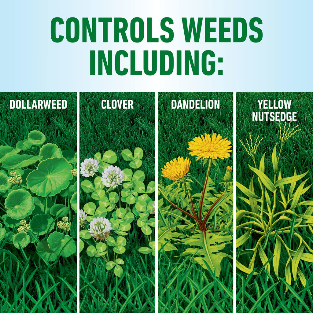 Roundup for Lawns4 Ready-to-Use 1 gal. P96713