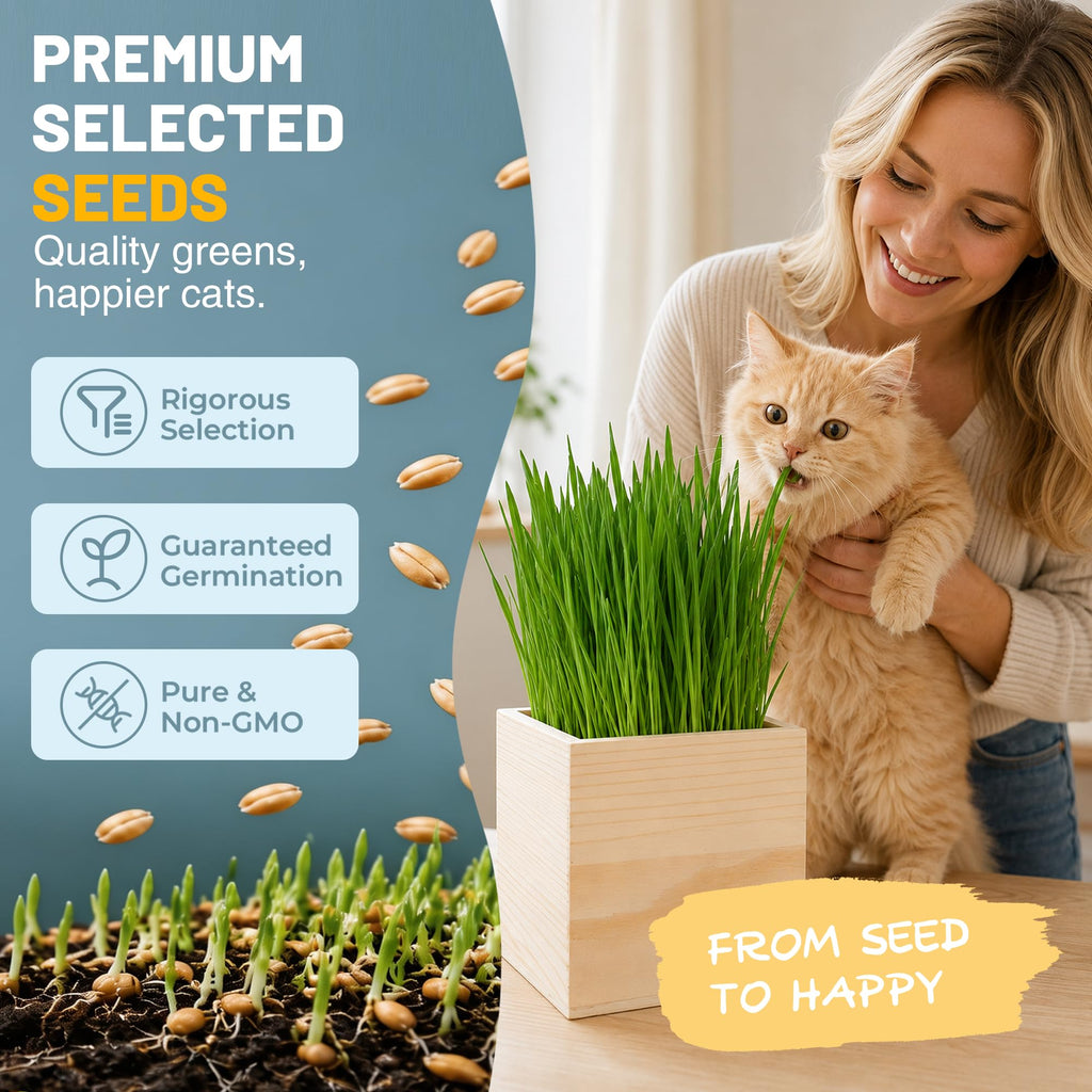 Cat Grass Growing Kit with Wooden Planter U958051