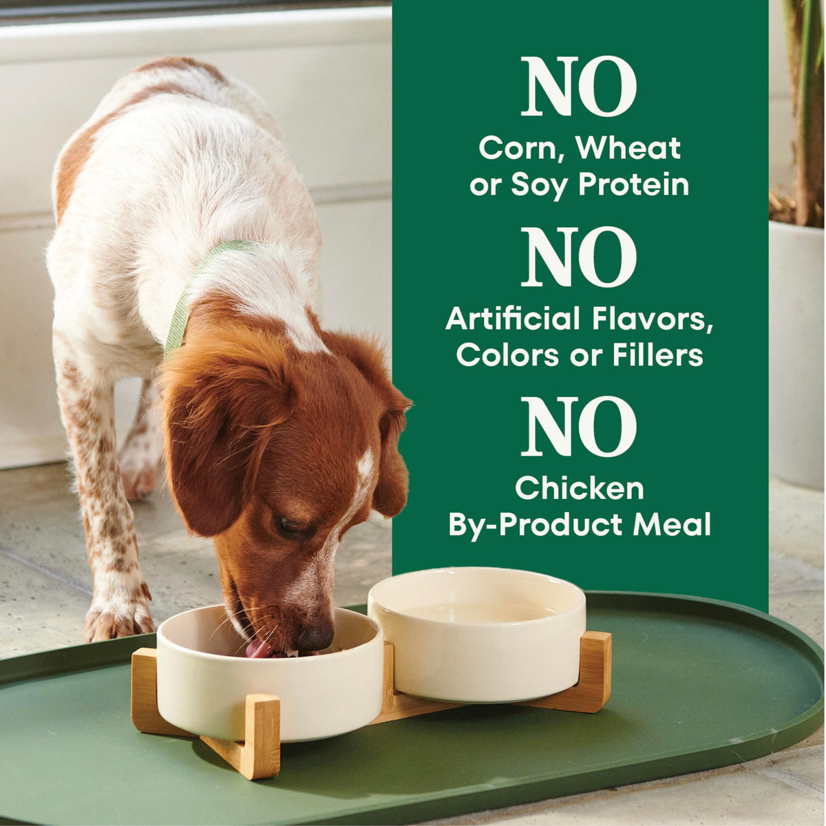 Chicken & Rice Dry Dog Food K19716