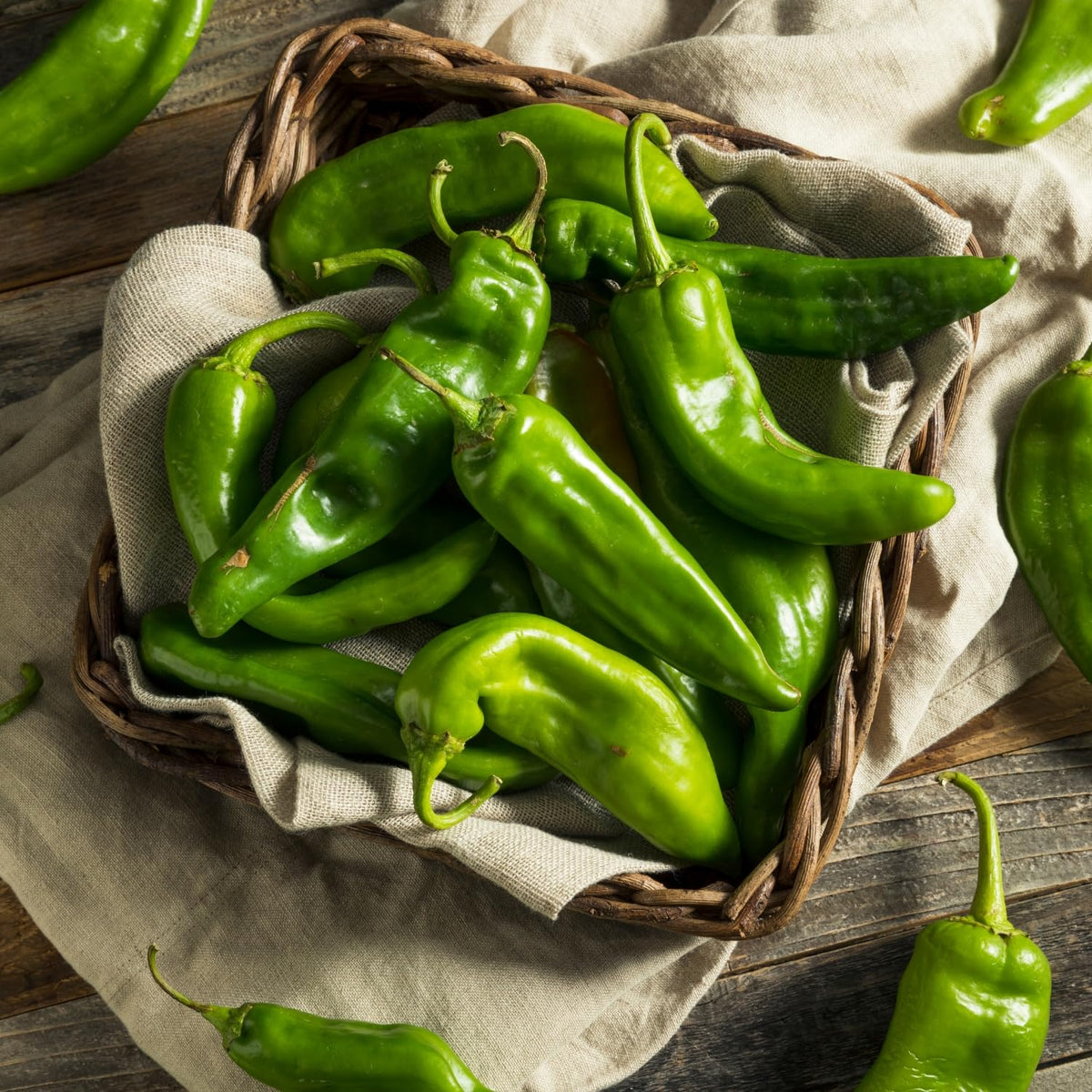 Green Chile Sauce Pack of 2 Y312