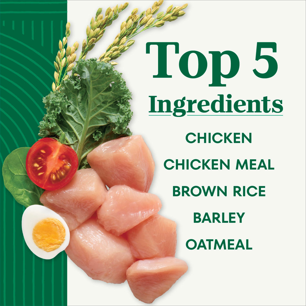 Chicken & Rice Dry Dog Food K19716