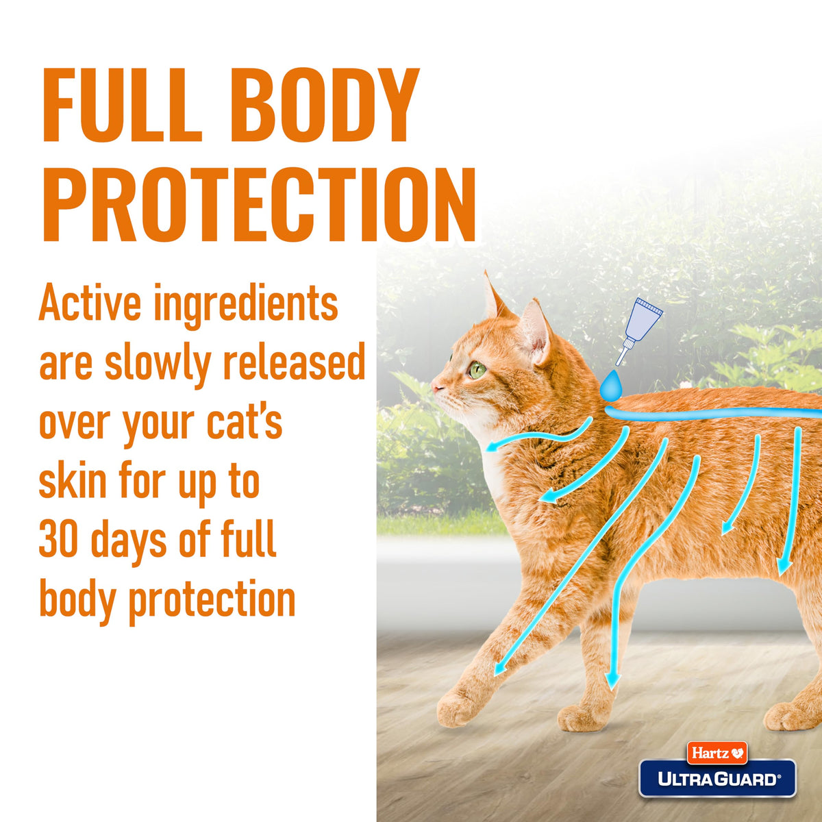 Flea & Tick Prevention for Cats and Kittens - 3 Monthly Treatments R432