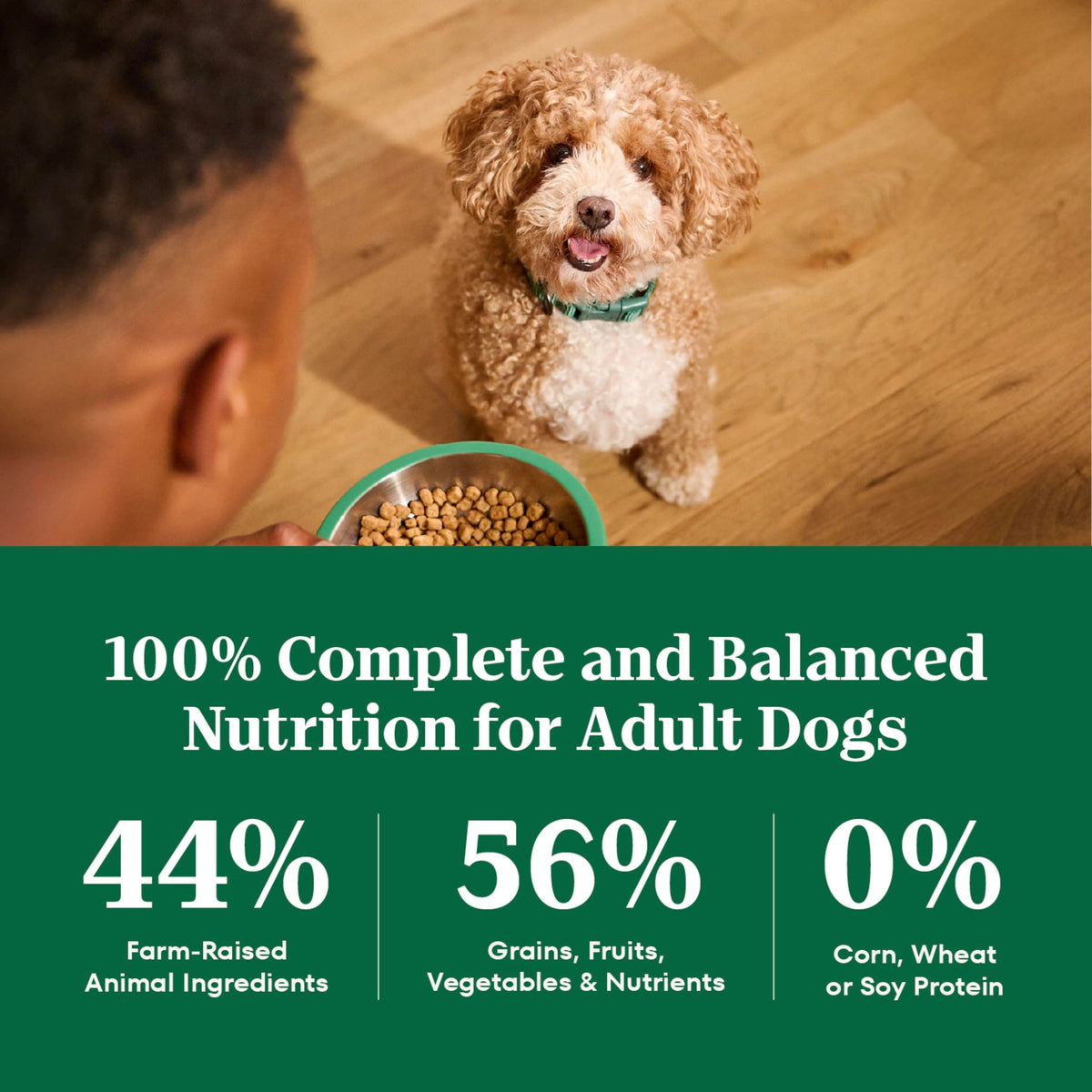 Chicken & Rice Dry Dog Food K19716