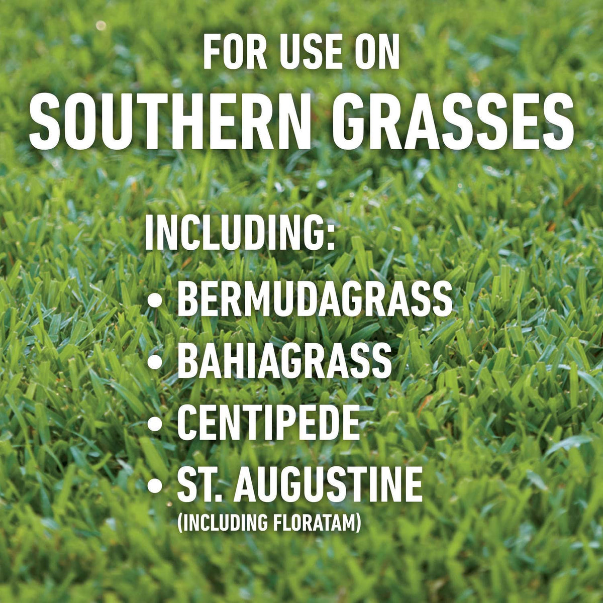 Roundup for Lawns4 Ready-to-Use 1 gal. P96713