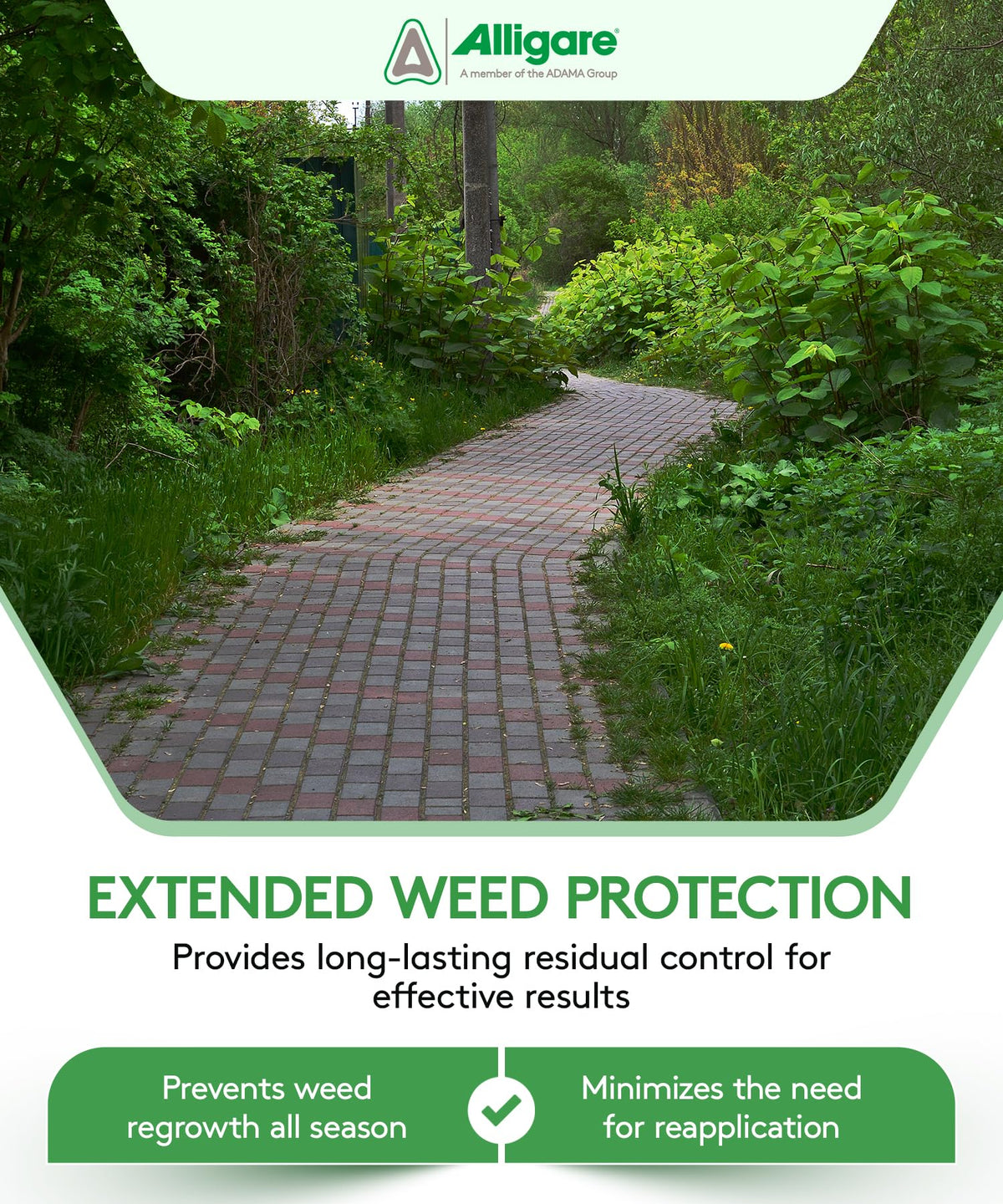 70EG Weed Killer for Grasses, Weeds & Vines 5 lbs V594
