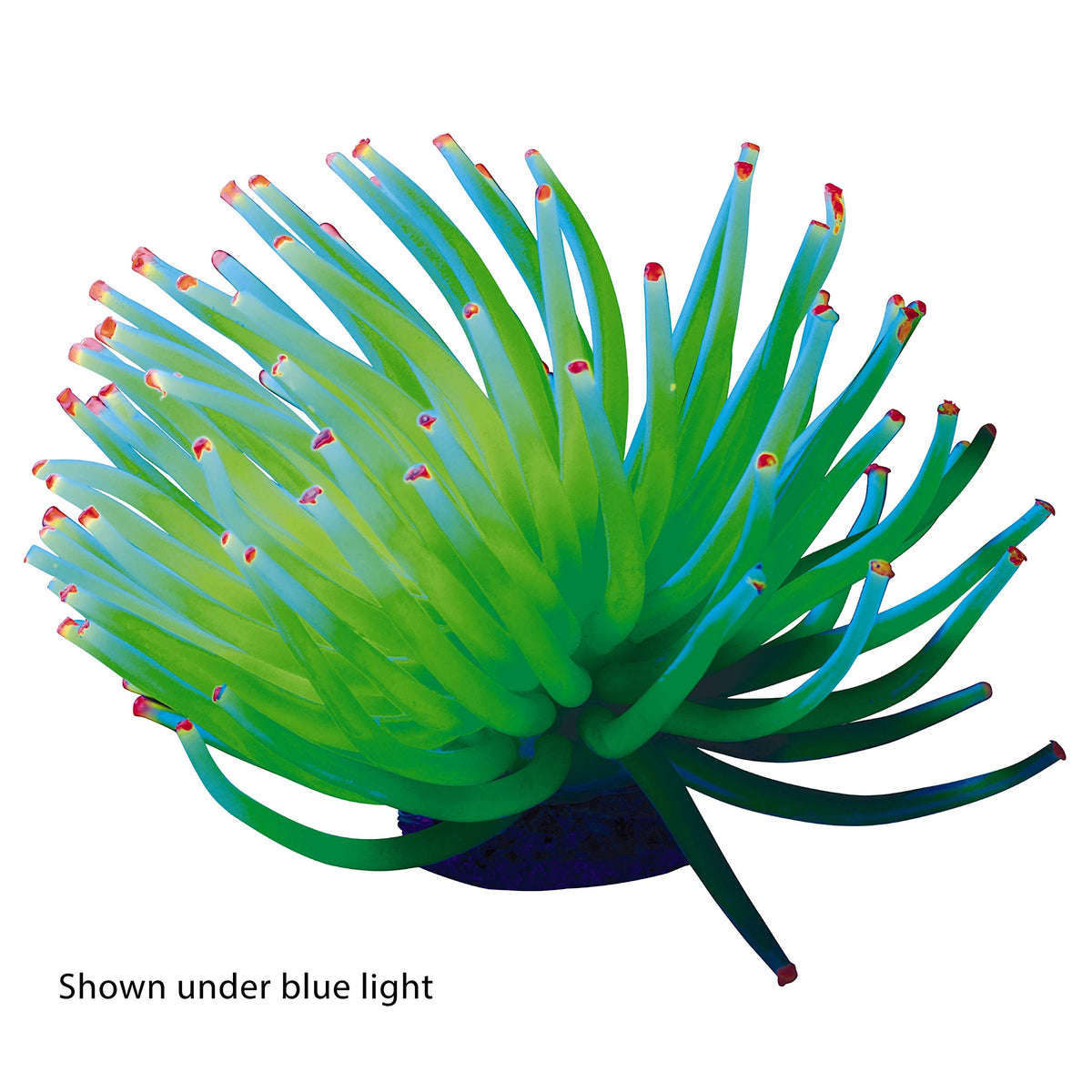 Yellow Anemone Aquarium Ornament P9119