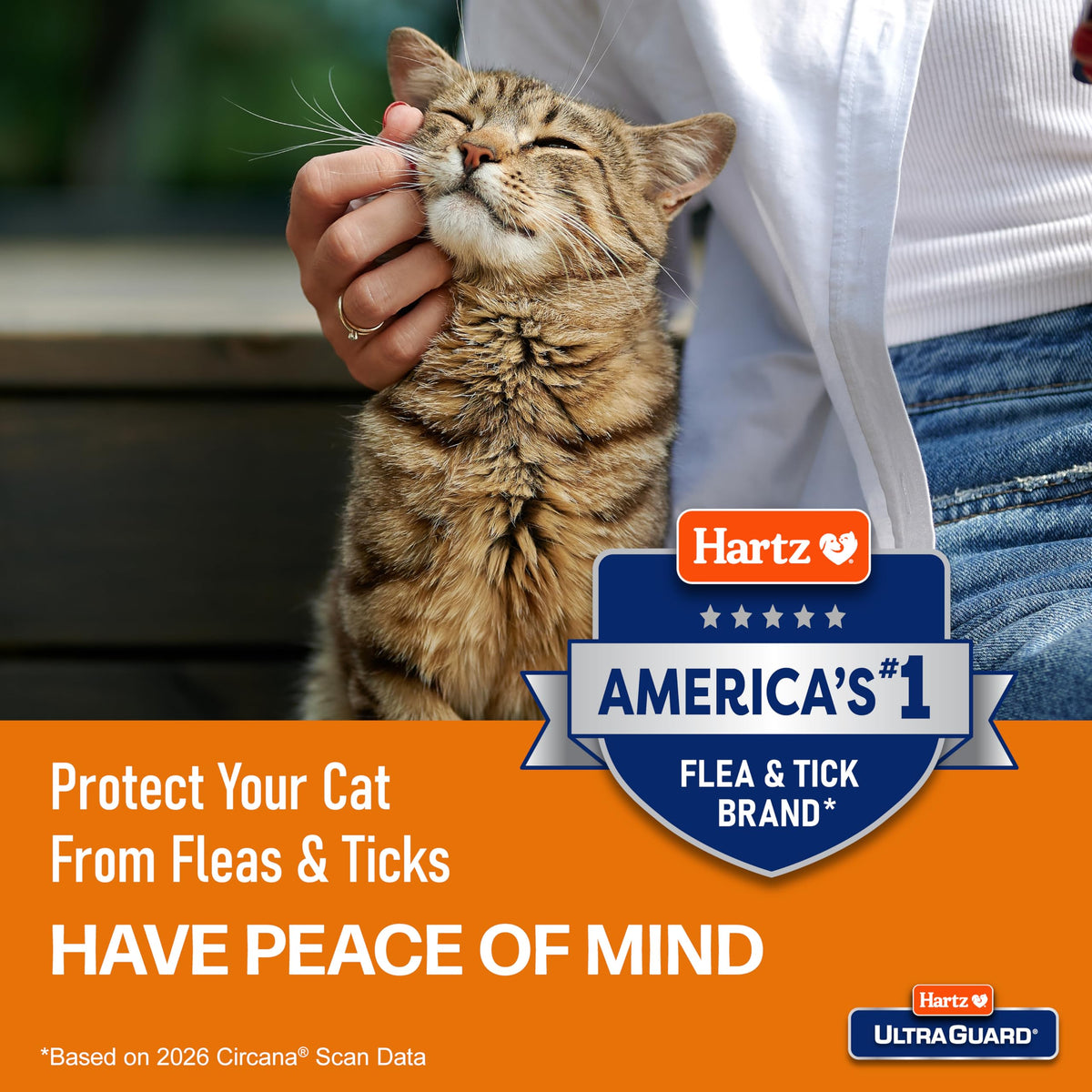 Flea & Tick Prevention for Cats and Kittens - 3 Monthly Treatments R432